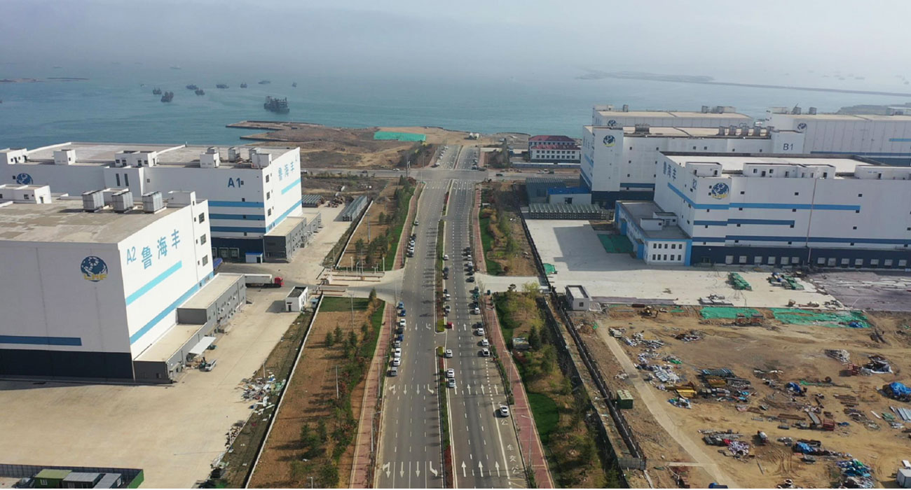 鲁海丰