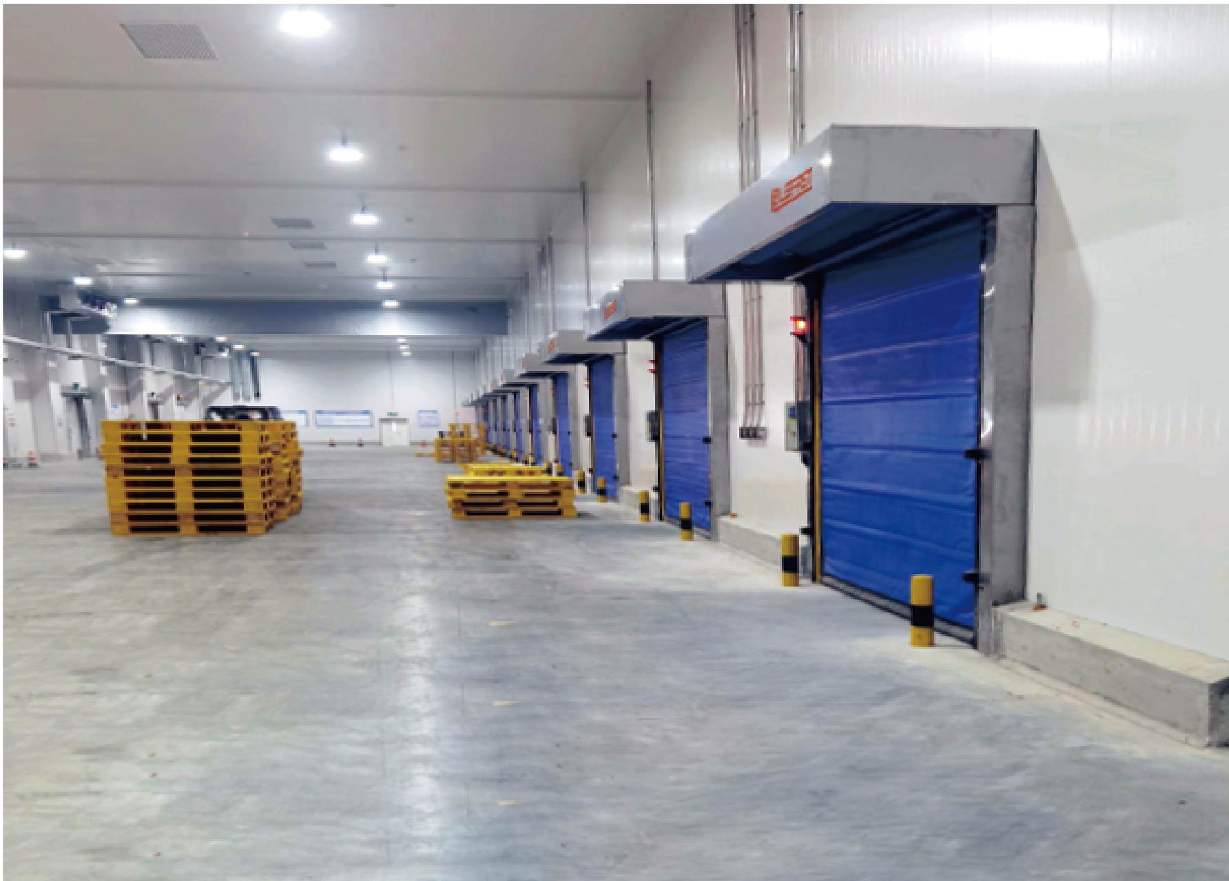 Cold Storage Rapid Rolling Shutter Door Project